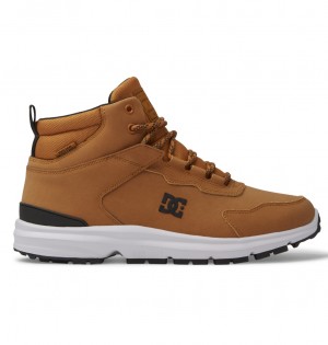 DC Shoes Mutiny - δερματινα Boots μαυρα | 216304LPQ