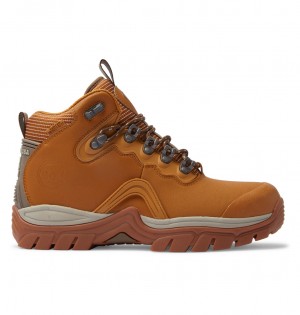 DC Shoes Navigator - δερματινα High Top Boots σοκολάτα | 720348KAS