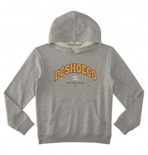 DC Shoes Orientation - Pullover Hoodie 10-16 γκρι | 850912JPS