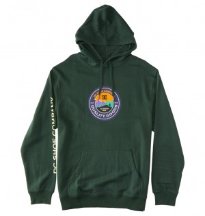 DC Shoes Outdoorsman - Hoodie Sycamore | 681954ALY