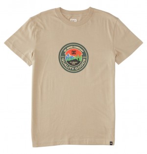 DC Shoes Outdoorsman - T-Shirt Plaza Taupe | 568237ZEM