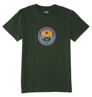DC Shoes Outdoorsman - T-Shirt Sycamore | 306754HJS