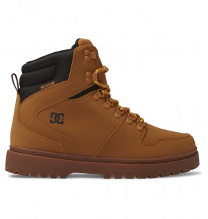 DC Shoes Peary Tr - δερματινα Boots μαυρα | 917068NCY
