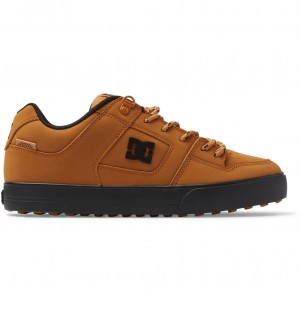 DC Shoes Pure WNT - Winterised Shoes Wheat | 250341BCE