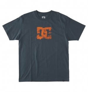 DC Shoes Sketchy - T-Shirt Stormy Weather | 461290MCY