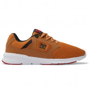 DC Shoes Skyline - ελαφρια Shoes μαυρα | 356290QCD