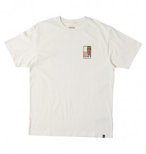 DC Shoes Sportster - Crew Neck T-shirt ασπρα | 257160HLK
