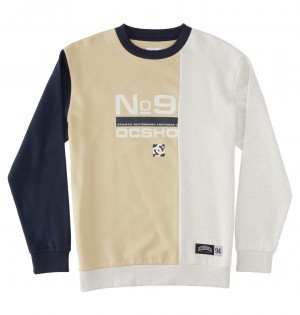 DC Shoes Static - Sweatshirt Overcast Multi | 354269SFY