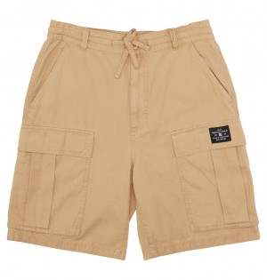 DC Shoes Tundra - Cargo Shorts Incense | 864075LOC