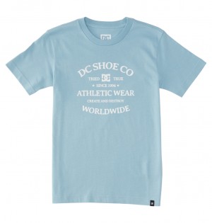DC Shoes World Renowed - T-Shirt 10-16 Forget Me Not | 082956KDO