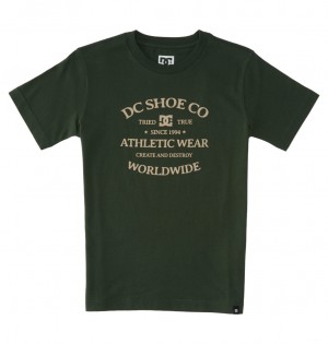 DC Shoes World Renowed - T-Shirt 10-16 Sycamore | 702653GJW