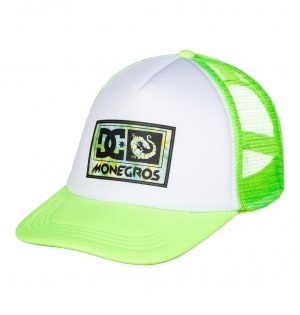 DC Shoes x Monegros - Trucker Cap πρασινο | 598231NZR